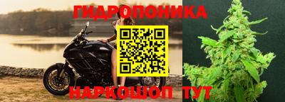 мдма Новодвинск