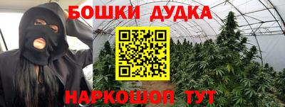 мдма Новодвинск