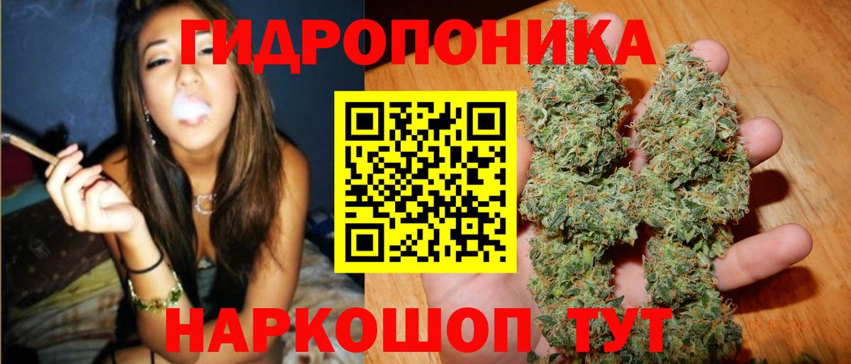 Канабис планчик  Вход с VPN  Бошки Шишки Amnesia  Бошки Шишки тримм  Унеча 